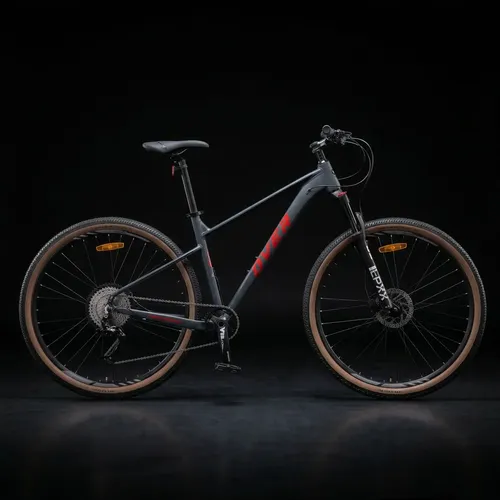 Bicicleta Mtb Overtech Peregrine Gt R29 Aire Hidráulica 1x11 Gris Rojo M